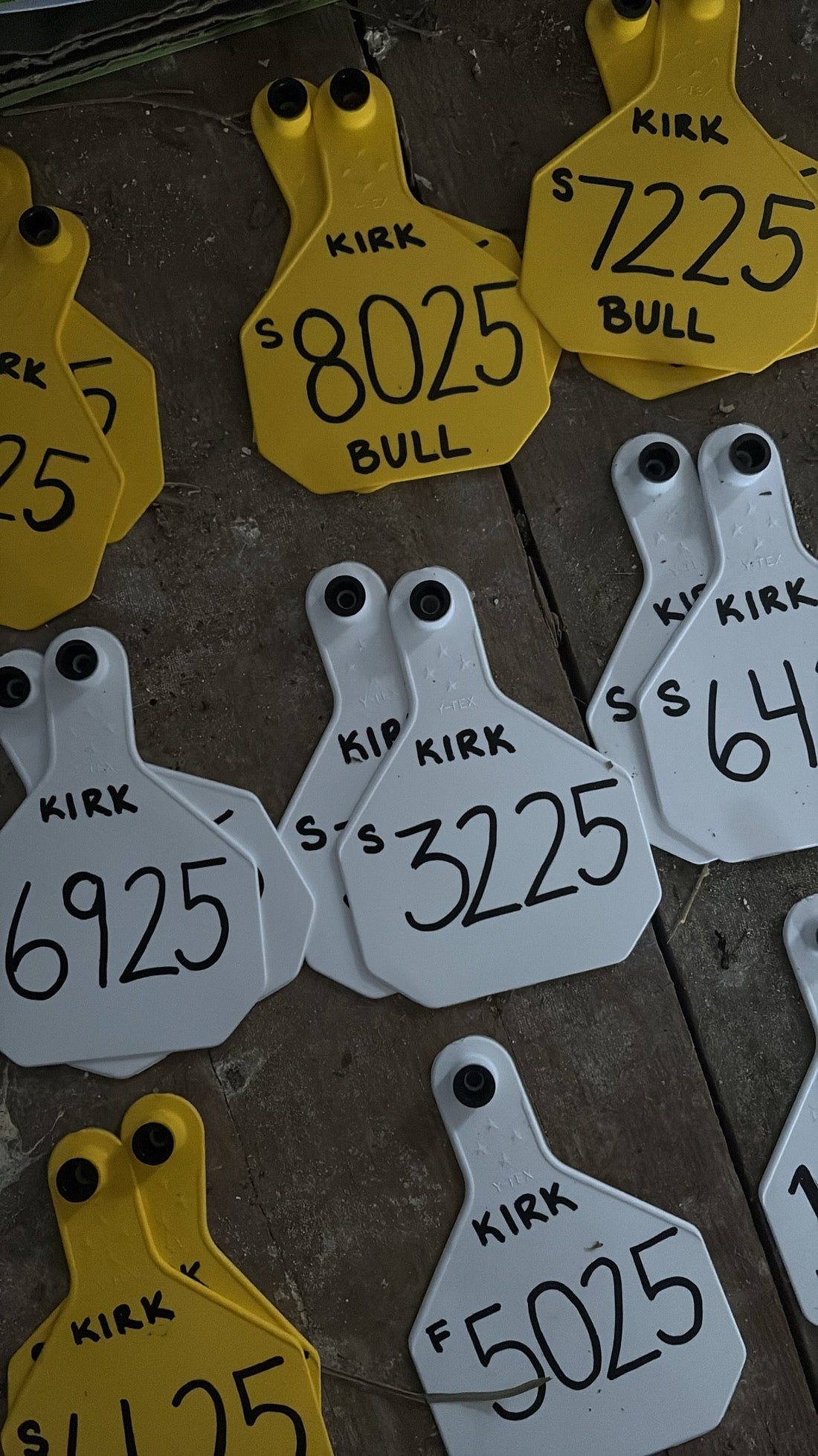 Written in Ink: The Records That Carry Our Legacy