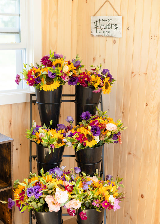 Rooted in Collaboration: How Our New Partnership Is Blooming