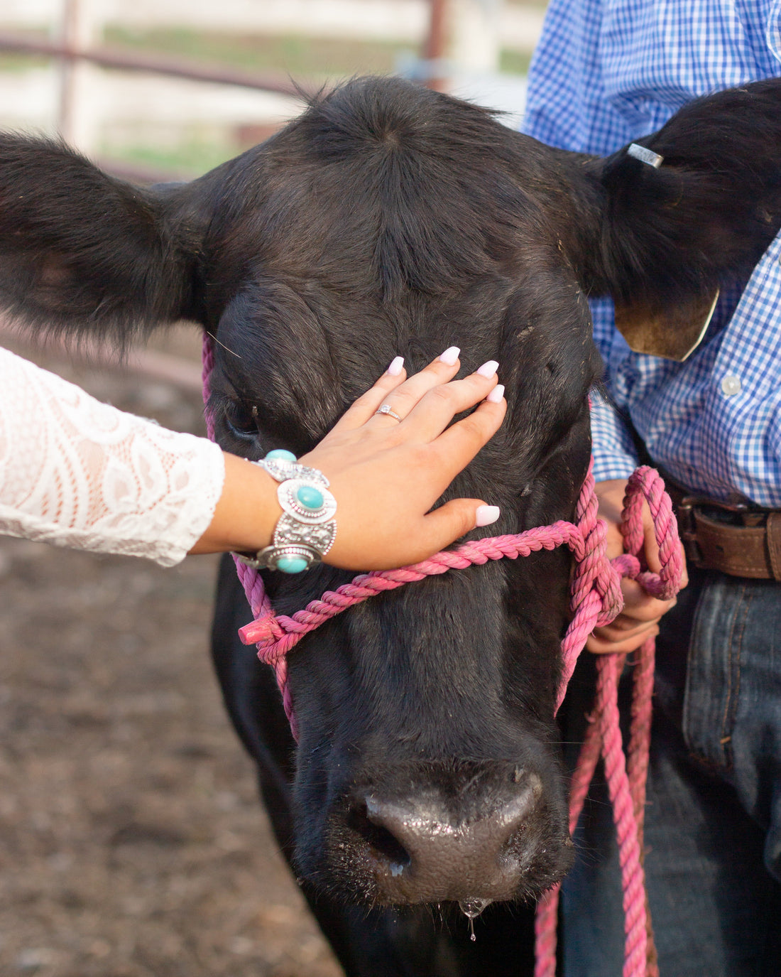 A Schoharie County Love Story