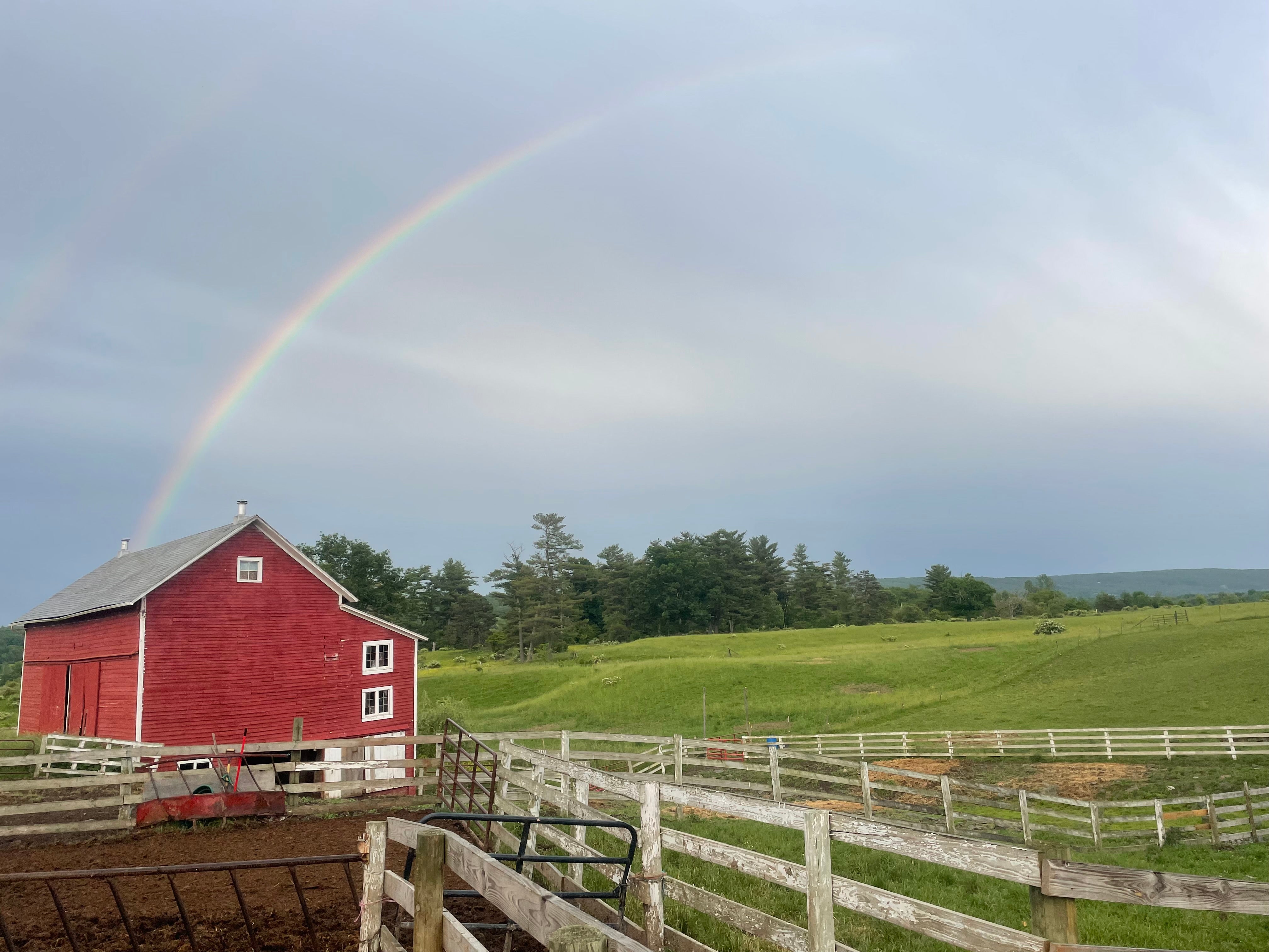 Beef Farm of Excellence – Central Bridge Farms