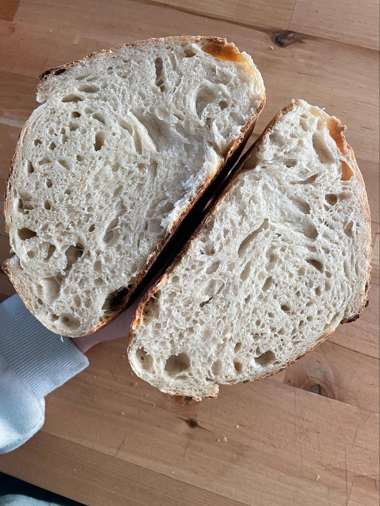 Sourdough & Sourdough Bagels