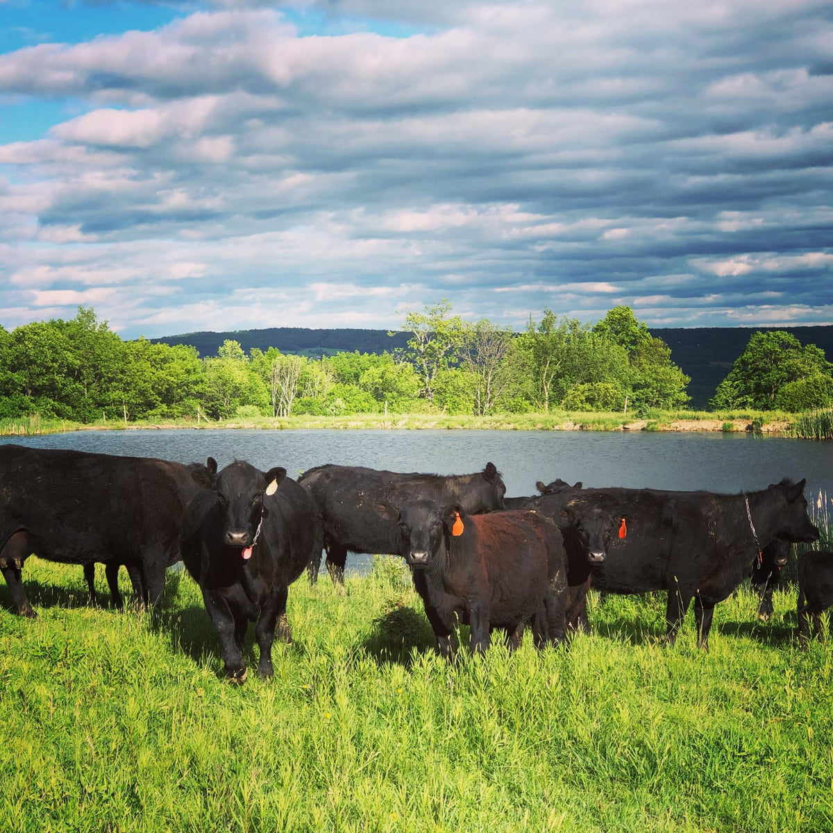 Angus Pure Beef Farm Premium Angus Beef – Central Bridge Farms